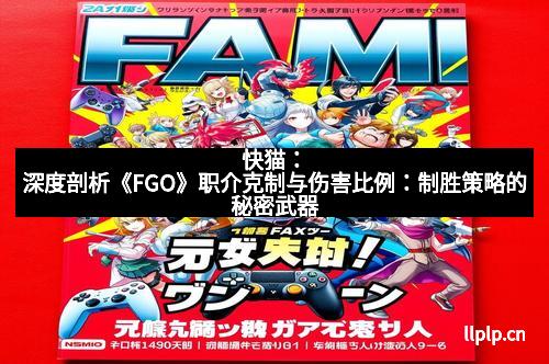快猫：深度剖析《FGO》职介克制与伤害比例：制胜策略的秘密武器